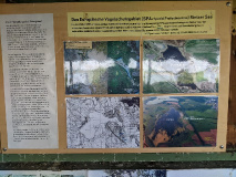 Tolles Naturerlebnis: Wanderung am Netzener See und Strengsee