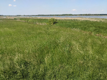 Tolles Naturerlebnis: Wanderung am Netzener See und Strengsee