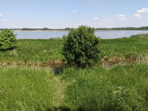 Tolles Naturerlebnis: Wanderung am Netzener See und Strengsee