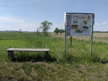 Tolles Naturerlebnis: Wanderung am Netzener See und Strengsee