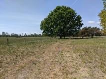Region Naturpark Hoher Fläming/Niemegker Land
