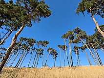 Von Kranepuhl zum Bahnhof Bad Belzig