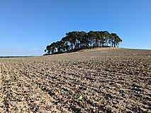 Ganz viel Fläming: Von Kranepuhl durch die steilen Kieten nach Bad Belzig