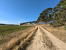 Ganz viel Fläming: Von Kranepuhl durch die steilen Kieten nach Bad Belzig