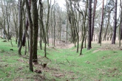 Ausflugstipps für den Landkreis Potsdam-Mittelmark