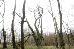 Ausflugstipps für den Landkreis Potsdam-Mittelmark