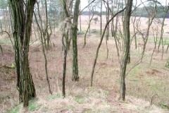 Ausflugstipps für den Landkreis Potsdam-Mittelmark