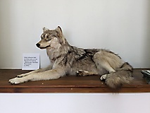 von Rädigke durch das Planetal nach Raben