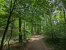 Kurz, aber sehr schön: Wanderung zur Burg Rabenstein