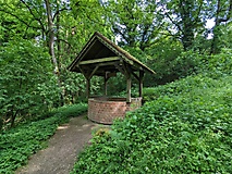Kurz, aber sehr schön: Wanderung zur Burg Rabenstein