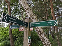 Landschaftswiesen und Binnendüne: Eine Rundtour vom Bahnhof Baitz