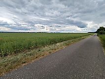 Landschaftswiesen und Binnendüne: Eine Rundtour vom Bahnhof Baitz