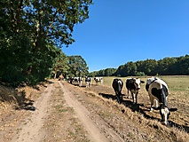 Viel Natur, viel Ruhe, viel Wald und ein Rendezvous mit der Plane - von Rädigke nach Werdermühle