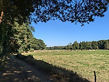 Viel Natur, viel Ruhe, viel Wald und ein Rendezvous mit der Plane - von Rädigke nach Werdermühle