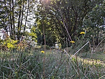 Viel Natur, viel Ruhe, viel Wald und ein Rendezvous mit der Plane - von Rädigke nach Werdermühle