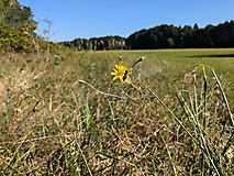 Viel Natur, viel Ruhe, viel Wald und ein Rendezvous mit der Plane - von Rädigke nach Werdermühle