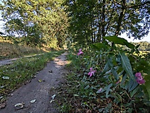Viel Natur, viel Ruhe, viel Wald und ein Rendezvous mit der Plane - von Rädigke nach Werdermühle