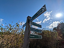 Sagenhaft: Eine Rundwanderung zur Brautrummel, zur Schweinerummel und zum Riesenstein