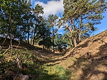 Über Berge und durch Täler bei der Rundwanderung zur Brautrummel, zur Schweinerummel und zum Riesenstein