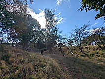Über Berge und durch Täler bei der Rundwanderung zur Brautrummel, zur Schweinerummel und zum Riesenstein