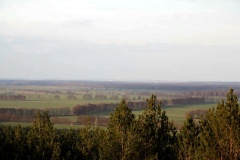 Ausflugstipps für den Landkreis Potsdam-Mittelmark