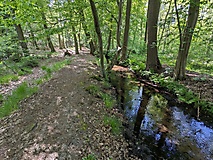 Bullenberger Bach und Mühlenteich Ragösen