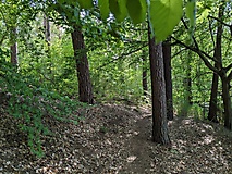 Bullenberger Bach und Mühlenteich Ragösen