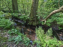 Tour der Kontraste von Ragösen zum Bullenberger Bach, zur 