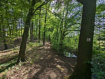 Tour der Kontraste von Ragösen zum Bullenberger Bach, zur 