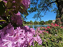 Viel Kunst, viel Fläming und ein grünes Gewölbe: Von Wiesenburg nach Bad Belzig 