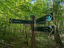 Viel Kunst, viel Fläming und ein grünes Gewölbe: Von Wiesenburg nach Bad Belzig 