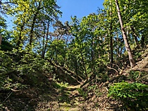 von Neuendorf zur Neuendorfer Rummel