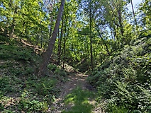 von Neuendorf zur Neuendorfer Rummel