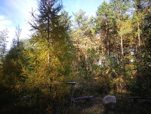 Region Naturpark Hoher Fläming/Niemegker Land