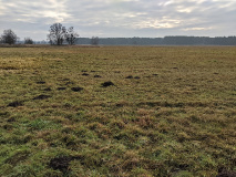 Berge und Weite zwischen Saarmund und Tremsdorf