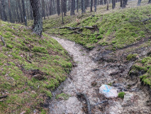 Berge, Weite und der Königsgraben:Wanderung von Saarmund nach Tremsdorf