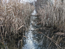 Berge und Weite zwischen Saarmund und Tremsdorf