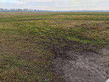 Berge und Weite zwischen Saarmund und Tremsdorf