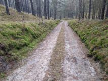 Berge, Weite und der Königsgraben:Wanderung von Saarmund nach Tremsdorf