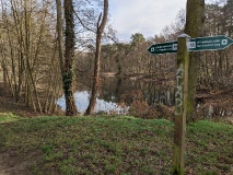 Der Irissee in Wilhelmshorst