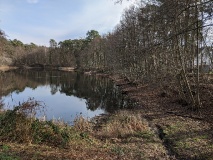 Der Irissee in Wilhelmshorst