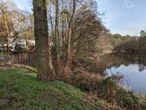 Der Irissee in Wilhelmshorst