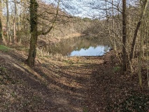 Der Irissee in Wilhelmshorst