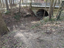 Der Irissee in Wilhelmshorst