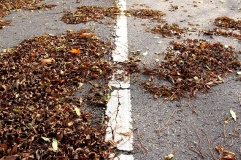 Endstation, stillgelegtes Teilstück der L 79 bei Nudow