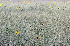 Fotos aus Nuthetal und Umgebung