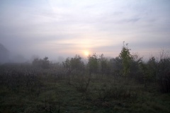 Morgenstimmung in der Nähe der Autobahnauffahrt Saarmund/Bergholz-Rehbrücke