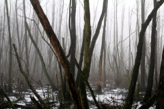 Fotos aus Potsdam-Mittelmark