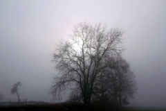 Fotos aus Potsdam-Mittelmark