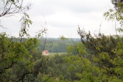 Region Nuthetal